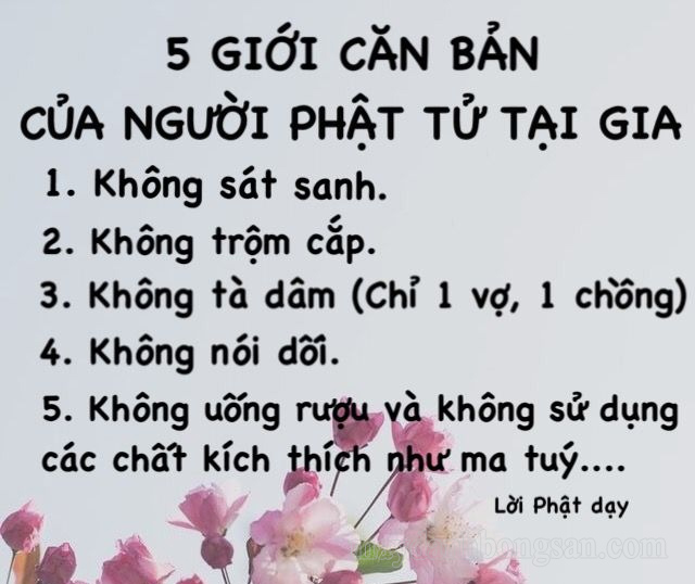 Năm giới căn bản người Phật Tử tại gia cần tuân theo